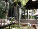 Blognatura: Jardin Botanico De Madrid / Madrid´s Botanical ... serapportantà Entrada Jardin Botanico Madrid