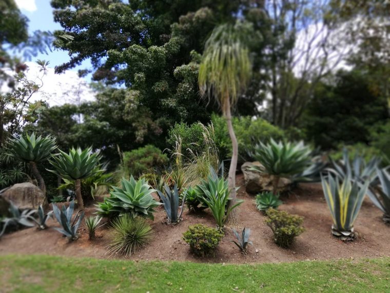 Bogota Botanical Garden. Jardín Botánico Bogotá | Jardin … intérieur Jardin Botanico Bogota