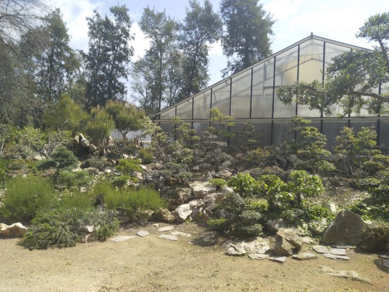 Bosque En Miniatura – Jardín Botánico De Córdoba à Jardin Botanico Tarifas