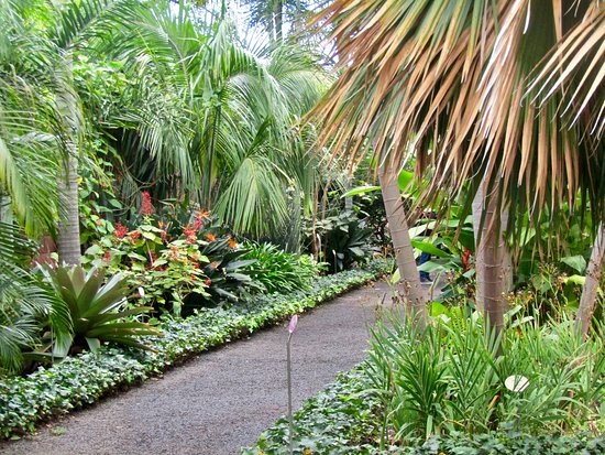 Botanical Gardens (Jardin Botanico) (Puerto De La Cruz … serapportantà Hotel Jardin Botanico