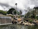 Botanischer Garten Gran Canaria - Jardin Canario Grune ... serapportantà Jardin Canario Tafira