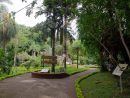 Buscan Darle Una Nueva Impronta Al Jardín Botánico ... pour El Jardin Botanico Cartagena