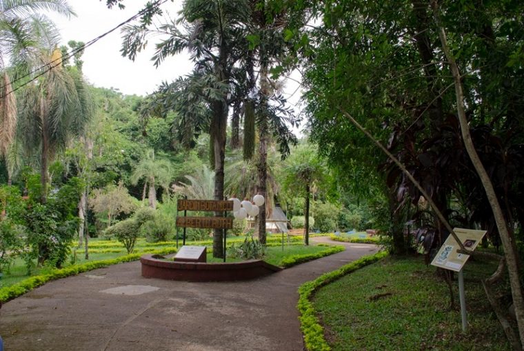 Buscan Darle Una Nueva Impronta Al Jardín Botánico … pour El Jardin Botanico Cartagena