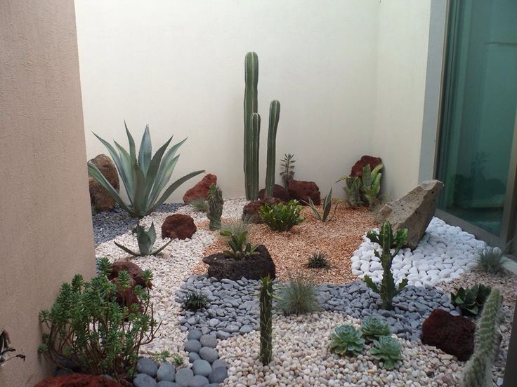 Cactus Y Piedras Rodrigo Corpus Narvaez | Plants, Backyard ... pour Jardines Con Cactus Y Piedras