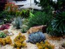 Cactus Y Suculentas Para Jardines Y Patios De Exterior tout Jardines Con Cactus Y Piedras