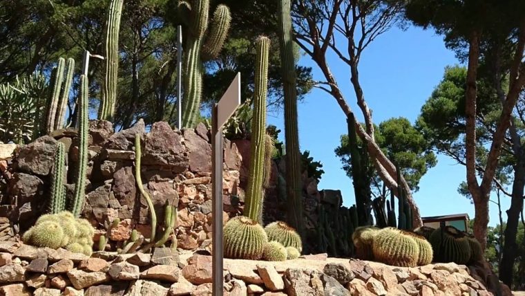 Calella De Palafrugell – Botanic Garden Cap Roig – Part 1 … tout Jardin Botanico Cap Roig