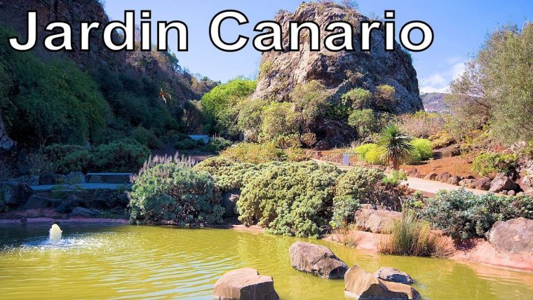 Carretera Del Centro Las Palmas De Gran Canaria Jardin … encequiconcerne Jardin Canario Restaurante