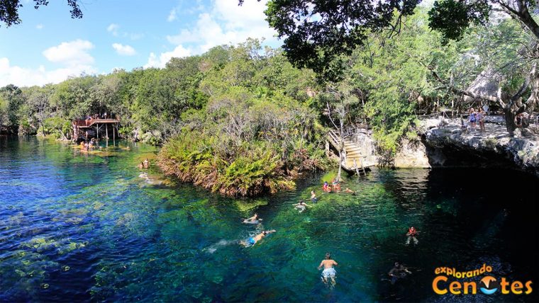 Cenote Jardín Del Edén En La Riviera Maya Yucatán … serapportantà Los Jardines Del Eden
