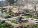 Cinco Jardines Botánicos Que Nos Maravillan | Descubrir ... intérieur Jardín Botánico Cordoba