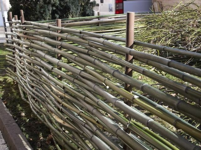 Clôture En Bambou Pour Une Touche Orientale Dans Le Jardin pour Comment Occulter Une Cloture