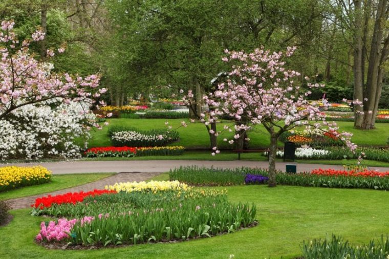 Cómo Comenzar Un Jardín De Flores En El Exterior … concernant Duncan Dhu Jardin De Rosas