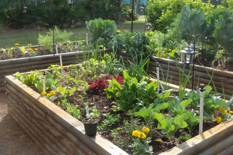 Como Crear Un Huerto En Casa En Solo 5 Pasos – Ecosiglos destiné Hacer Un Huerto En El Jardin