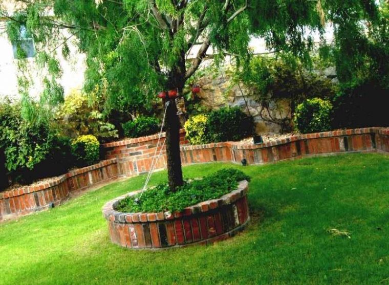 Como Elegir Un Arbol Para El Jardin – Sobra, Crecimiento … avec Folladas En El Jardin