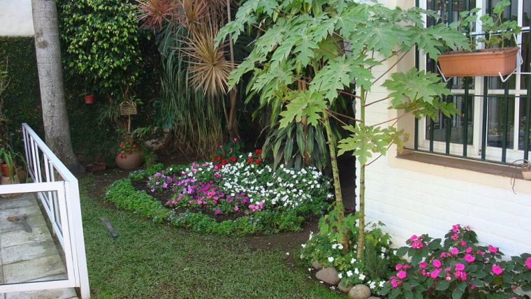 Como Hacer Un Jardin Sencillo Y Bonito | Casa De Diseño … pour Un Jardin Con Enanitos Melendi