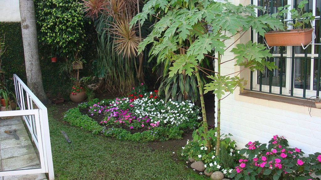 Como Hacer Un Jardin Sencillo Y Bonito | Casa De Diseño ... pour Un Jardin Con Enanitos Melendi