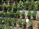 Cómo Hacer Un Jardín Vertical Con Botellas - Recicla Y Decora serapportantà Cómo Hacer Un Jardín Vertical