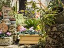 Cómo Planificar Y Diseñar Un Jardín Pequeño » El Horticultor destiné Como Planificar Un Jardin