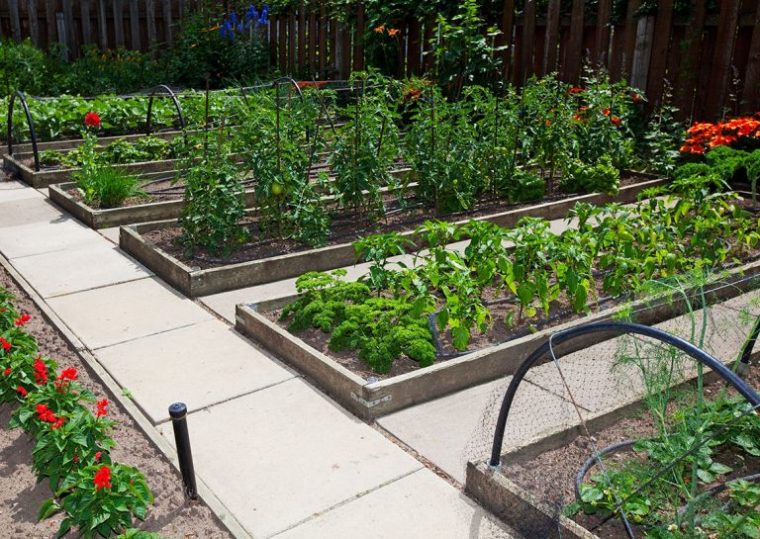 Cómo Plantar Correctamente Un Jardín De Hierbas – Como … encequiconcerne Como Planificar Un Jardin