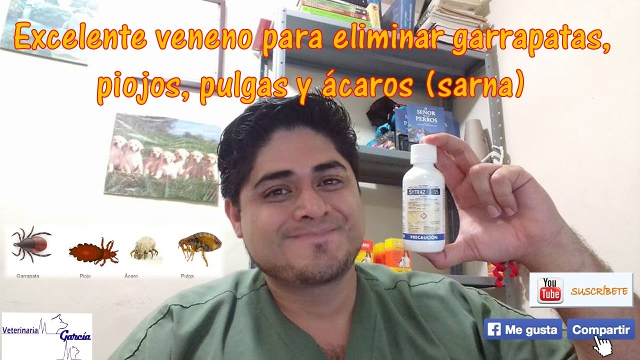 ¿Como Se Usa El Amitraz? // Veneno Contra Garrapatas - pour Veneno Para Hormigas De Jardin
