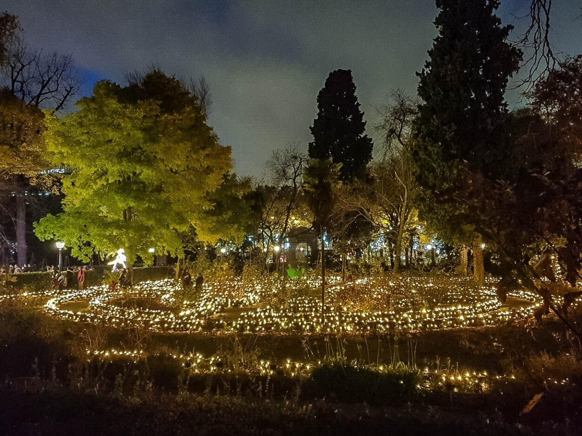 Cómo Visitar Luces Del Jardín Botánico: Horarios, Precios ... avec Jardin Botanico En Madrid