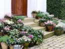 Componer Jardines Con Macetas - Guia De Jardin encequiconcerne Jardin Hidroponico En Casa