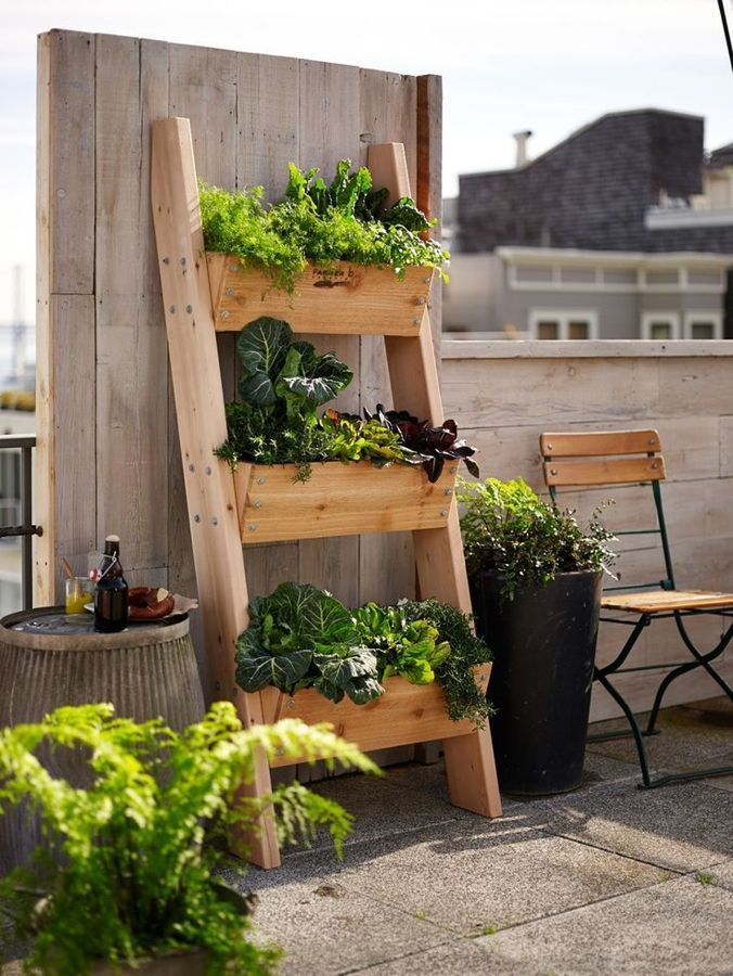 Con Esta Increíble Idea Cualquiera Puede Tener Un Jardín ... intérieur Como Tener Un Jardin En Casa
