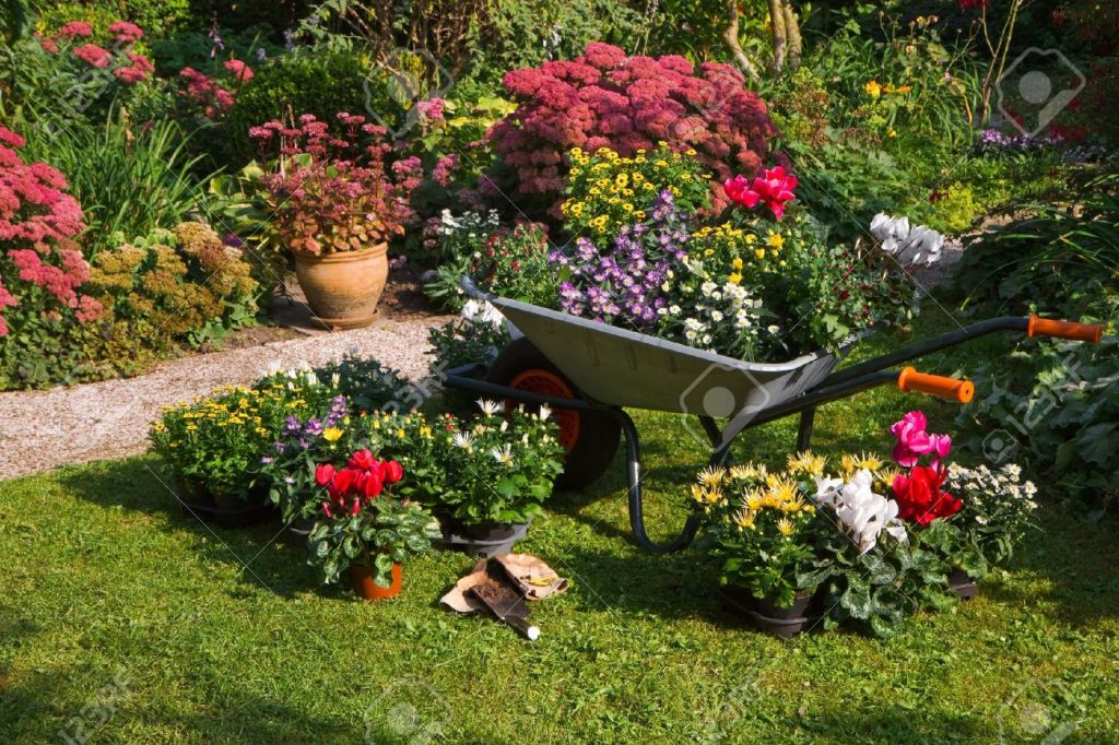 Consejos Básicos Para Disfrutar De Un Bonito Jardín intérieur Como Hacer Un Jardin Bonito