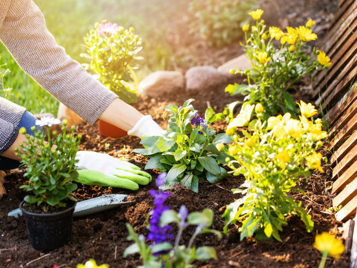 Consejos Para Tener Un Jardin Bonito serapportantà Como Hacer Un Jardin Bonito