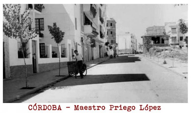 Córdoba – Calle Maestro Priego López En Ciudad Jardín … à Cordoba Ciudad Jardin