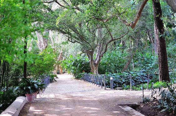 Cosa Vedere A Malaga: Il Jardin Botanico La Concepciòn ... avec Jardin Botanico La Concepcion