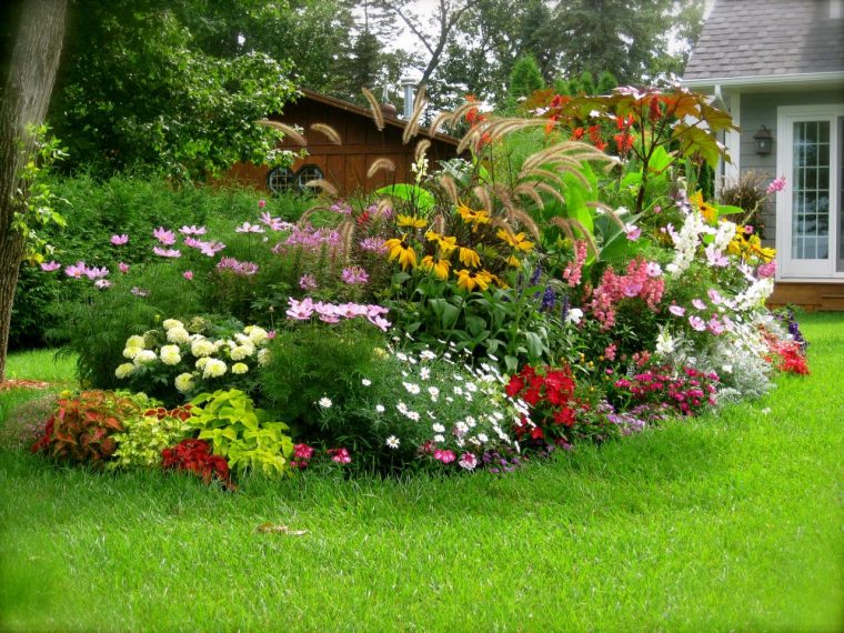 ¿Cuáles Son Los Mejores Arbustos Para El Jardín … serapportantà Imágenes De Jardines