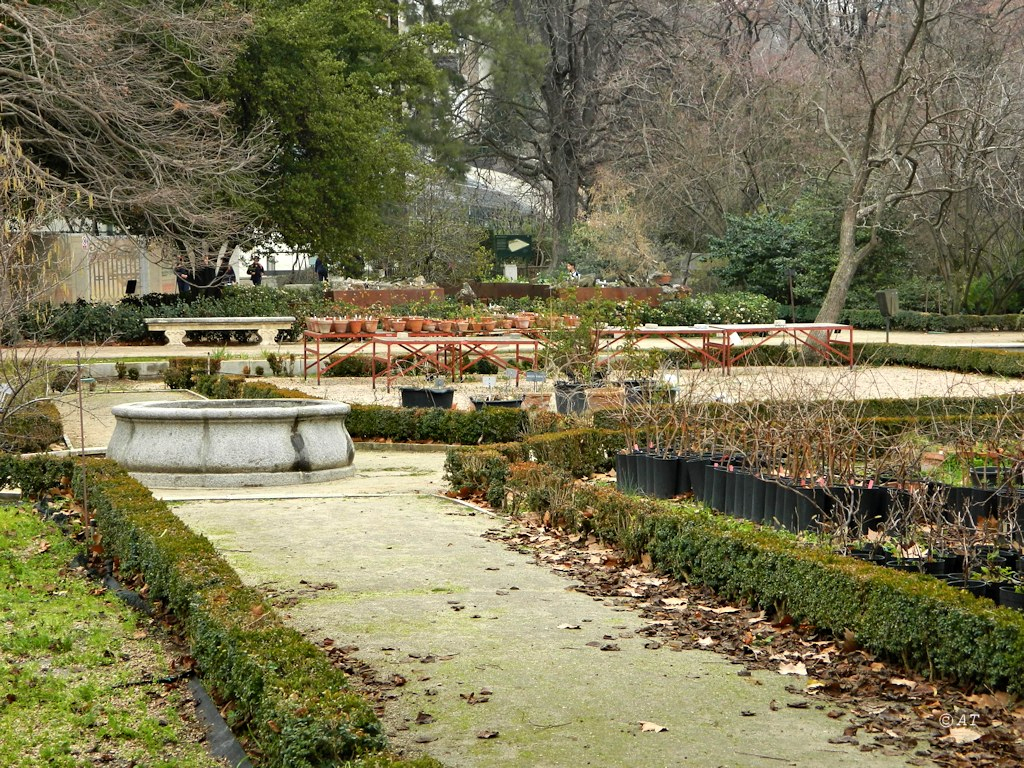 Подготовка Посадочного Материала. На... - Real Jardín ... avec Real Jardin Botánico