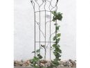 Dandibo Support Pour Plantes Grimpantes Jd2-12024 Treillis ... avec Treillis Jardin Metal