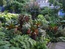 + De 20 Ideas De Jardines Tropicales Para Una Casa pour Jardines Tropicales