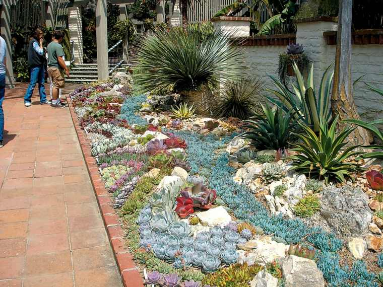 Decoración Con Cactus Para El Interior Y El Exterior De Casa avec Imagenes De Jardines Decorados