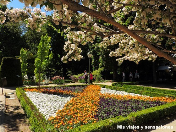 Descubre La Flora Del Mundo En El Jardín Botánico De ... encequiconcerne Jardin Botanico En Madrid