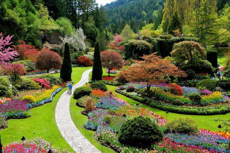 Descubre Tu Mundo: Destino: Los Preciosos Jardines … avec Los Jardines Del Eden