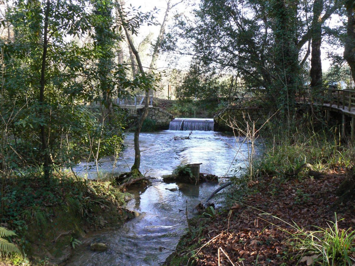 Desde Mis Ojos: Jardin Botanico Gijon Dic 08 concernant Gijon Jardin Botanico