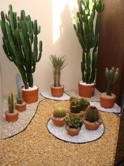 Diseno De Jardines Pequenos Con Cactus – Diseño De Casa encequiconcerne Jardin De Cactus Miniatura