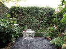 Diseño De Jardines: Un Jardín Pequeño Y Frondoso De 24 Metros² dedans Jardines Muy Pequeños Diseño
