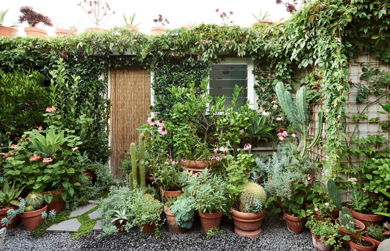 Diseño De Jardines: Un Jardín Pequeño Y Frondoso De 24 Metros² pour Jardines De Plantas