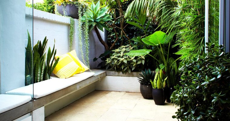 Diseño De Patios Pequeños: Mini Oasis En La Ciudad à Jardines Interiores Pequeños