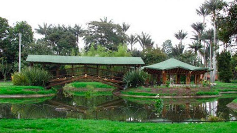 Disfrute Las Actividades Que Tiene El Jardín Botánico … avec Jardin Botanico Bogota