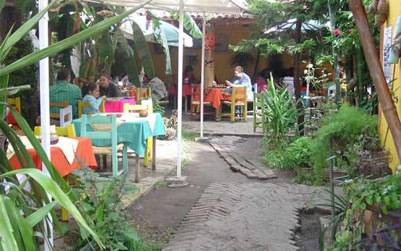 Durango Restaurante Desayunos | El Jardin De Los Canarios encequiconcerne Jardin Canario Horario