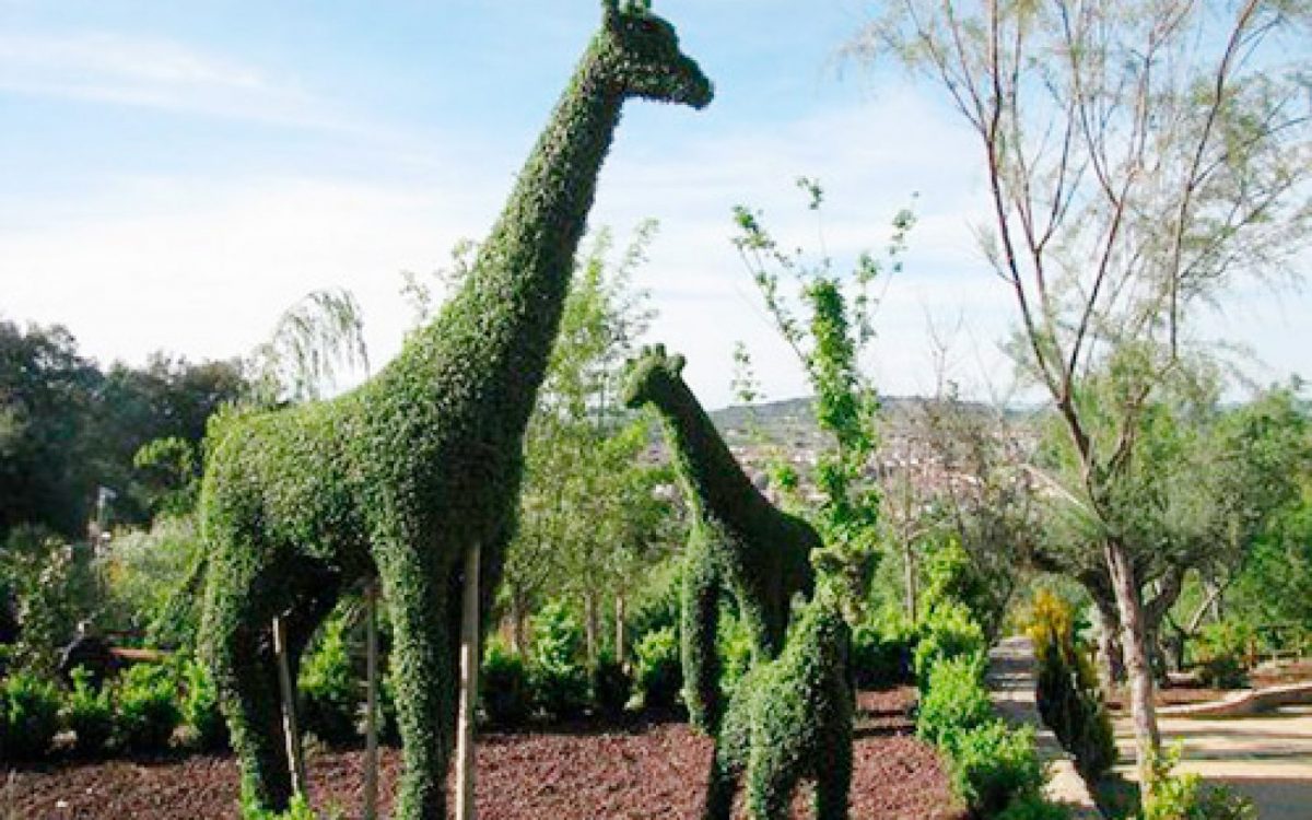 El Bosque Encantado :Un Lugar Para La Fantasía - Charhadas serapportantà Jardin Botanico El Bosque Encantado