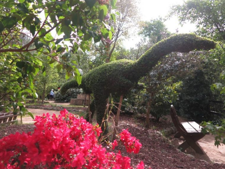 El Bosque Encantado: Un Parque De Setos Y Hadas … encequiconcerne Jardin Encantado San Martin De Valdeiglesias