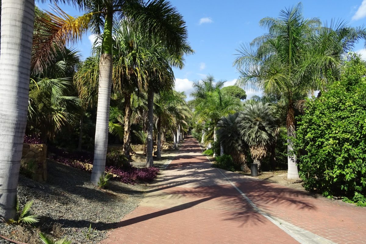 El Escarabajo Radio: Jardín Botánico Histórico La Concepción. pour Jardin Botanico La Rioja