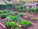 El Huerto Habitado: Huerto Ecológico: 10 Razones Por Las ... dedans Huerto En El Jardin