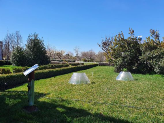 El Jardín Botánico De C-Lm, Visitable Gratis En Semana … à Jardin Botanico Castilla La Mancha