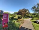 El Jardín Botánico De Córdoba Abre Nuevamente Sus Puertas à Jardín Botánico Cordoba